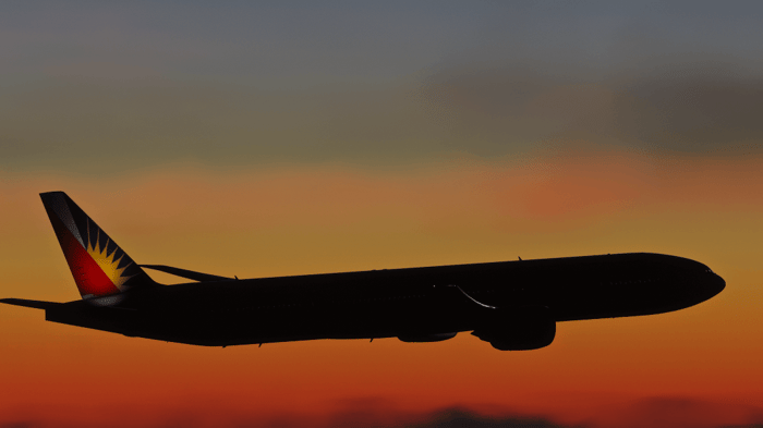 AI Dynamic Routing: Smarter Paths Plus Split Audio