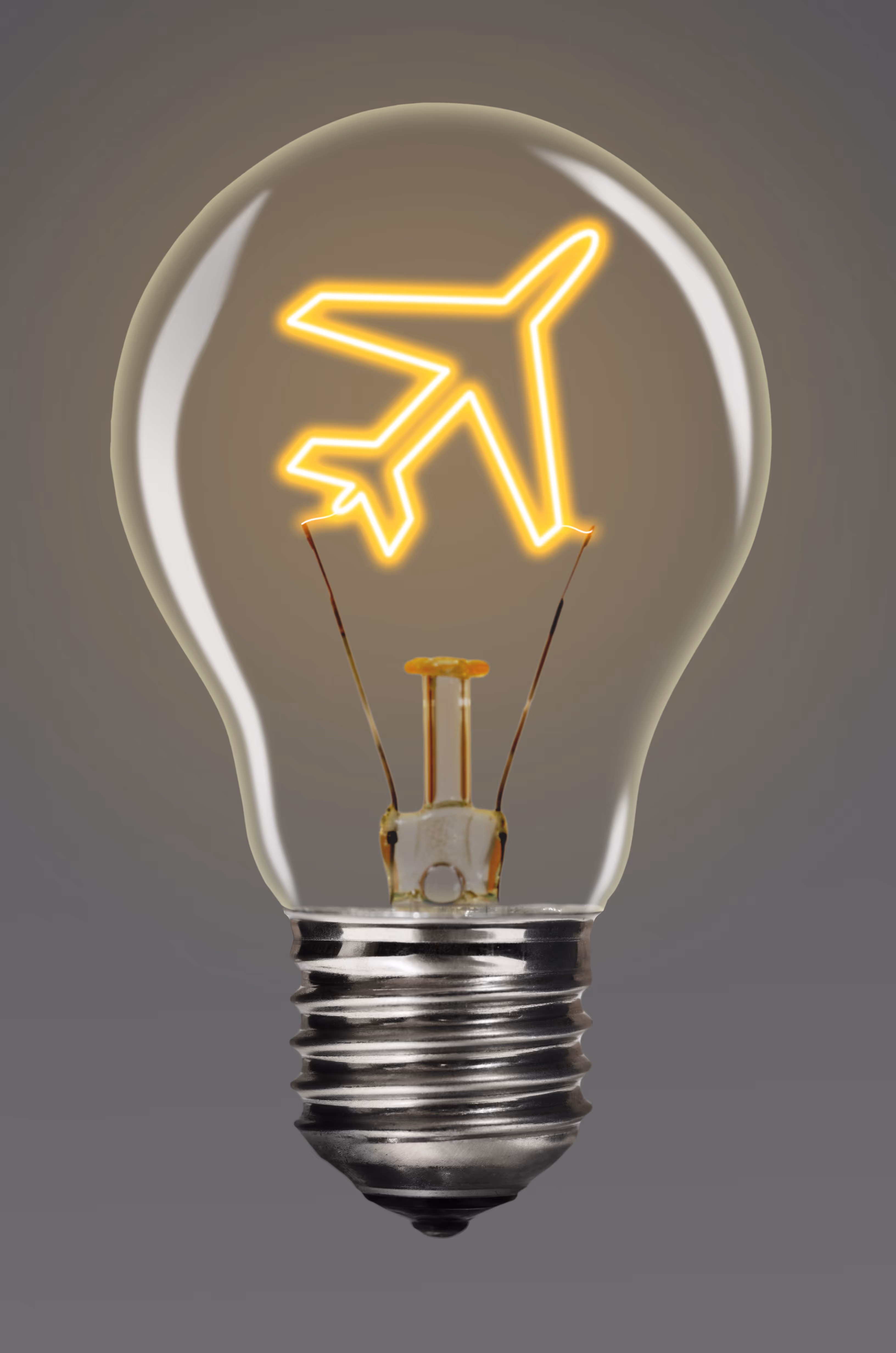 Concept art: a lightbulb with an airplane inside, representing a bright idea for flight simulation.